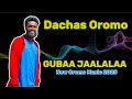 DACHAS OROMO GUBAA JAALALAA New Oromo Music 2025