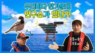 우리바다 한가운데 연구소가 있다?!