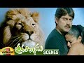 Lion Attacks Jagapathi Babu Priyamani Pravarakyudu Movie Scenes Sunil Mango Videos