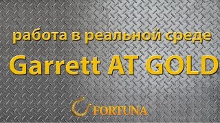 Garrett AT Gold - відео 2