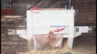 Máy cưa gỗ tròn nhiều lưỡi Woodmaster