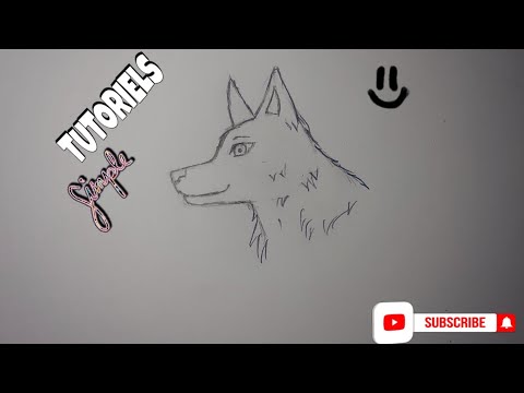 Tuto // dessiner une tête de loup facilement !