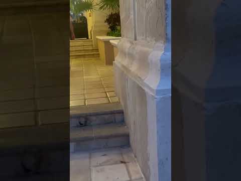 Videos del Royal Hideaway Playacar 5★ en Playa del Carmen, MéxicoVerPrecios21CerrarConsulta por Whatsapp 🇦🇷BookingTripadvisorExpediaAgodaTravelocityOrbitzPricelineTripSkyscannerDespegarKayakHotelesBestdayDestiniaTrivagoTurismocityAlmundoLastminuteHotwireTuiWotif