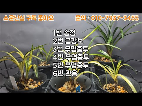 유튜브 썸네일