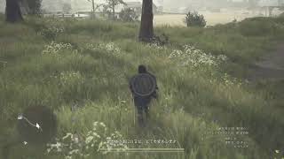 ドラゴンズドグマ2配信#2