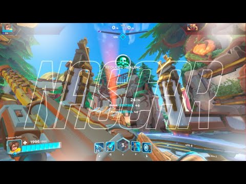 NASCAR 🏎️ (Paladins Montage)