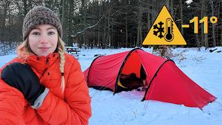 Download lagu Surviving EXTREME COLD - Solo Winter Camping In Denmark mp3