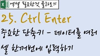 25.Ctrl Enter - 단축키:데이터를 여러셀에 한꺼번에 입력