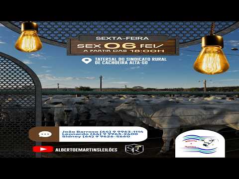 LEILÃO ALBERTO e MARTINS 06/02/2026 AS 18:00 hs em Cachoeira Alta Go.