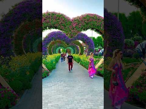 Miracle Garden 🌻🌺Dubai #trending #garden #miraclegarden #nature #naturelovers #garden
