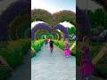 Miracle Garden Dubai Trending Garden Miraclegarden Nature Naturelovers Garden