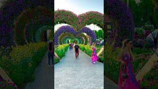 Miracle Garden 🌻🌺Dubai #trending #garden #miraclegarden #nature #naturelovers #garden