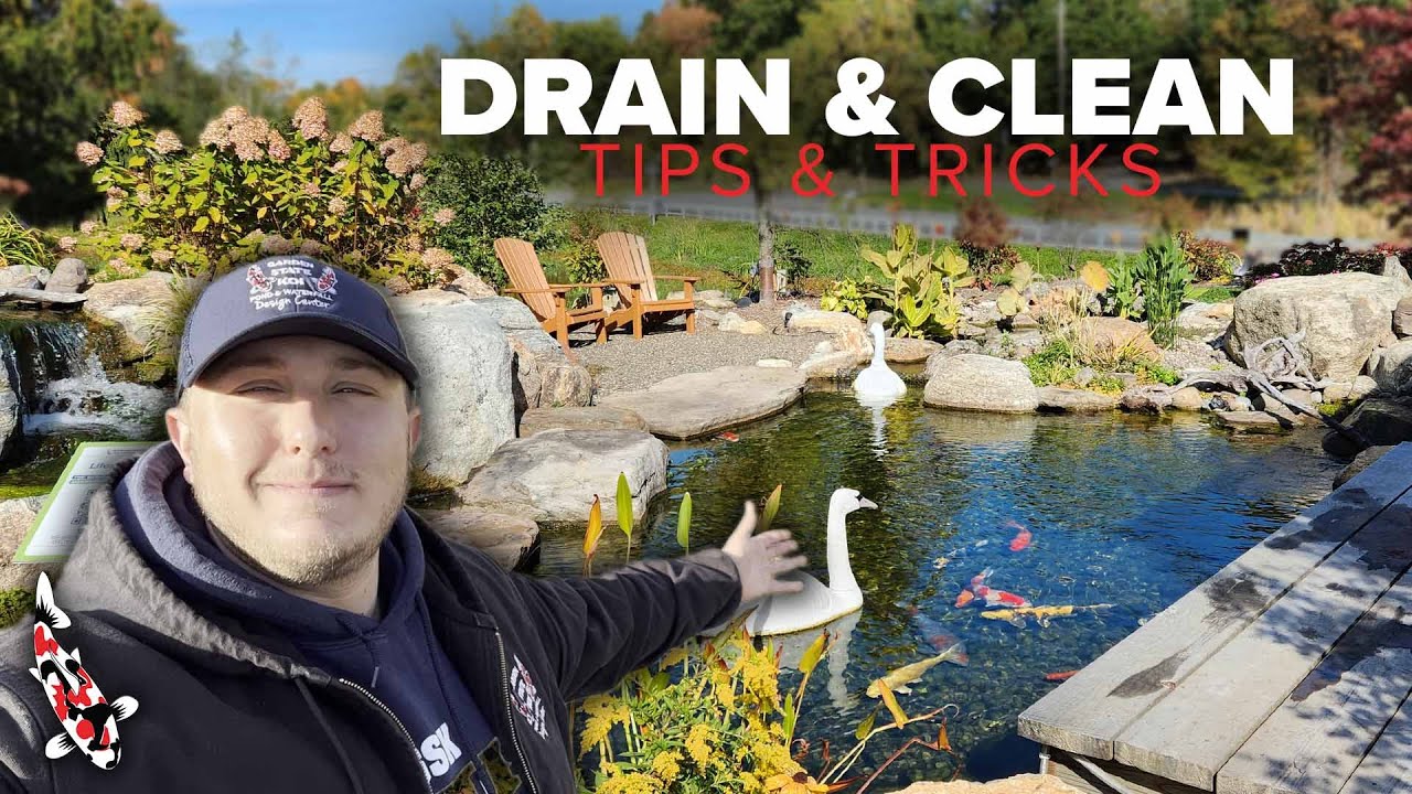 How to Drain and Clean a Koi Pond
