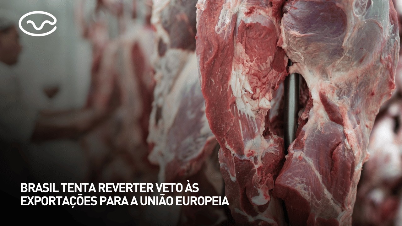 Brasil tenta reverter veto às exportações para a União Europeia