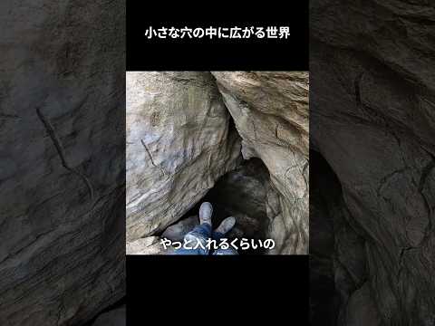 考古学的発見:スペインでの「重要な発見」 – 物事を永遠に変える可能性がある