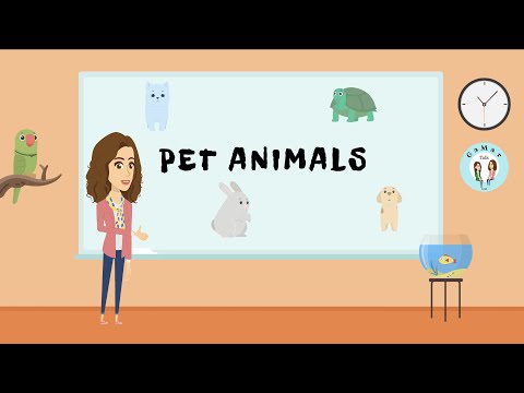 Pets animals/ Las mascotas en inglés/ GaMar Talk/ Inglés para niños