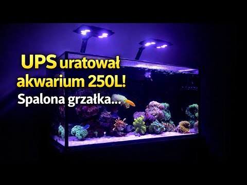 UPS uratował akwarium 250L #akwariummorskie 