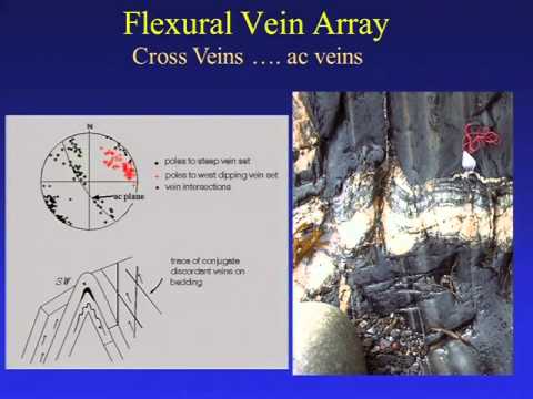 Setting, Structure and Emplacement of Meguma Gold Vein Arrays