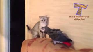 Miniature vidéo