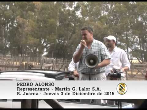 03-12-15 Nota Pedro Alonso - Martìn G. Lalor S.A. - B. Juarez.