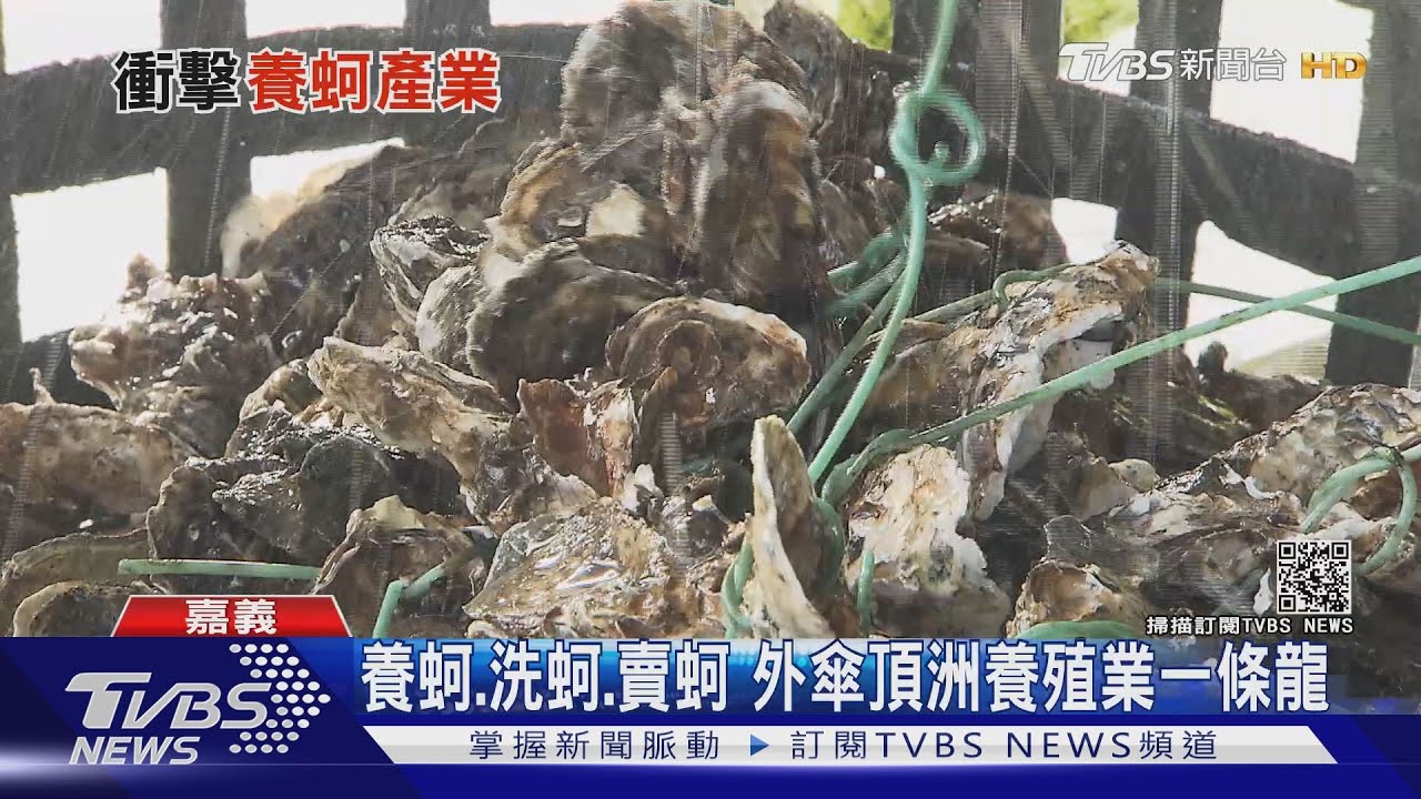 外傘頂洲消失中! 養蚵業以外首當其衝的是?