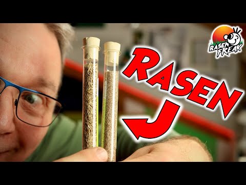 Rasen säen, Rasen nachsäen, Neusaat - Tipps und Tricks vom RASENFREAK
