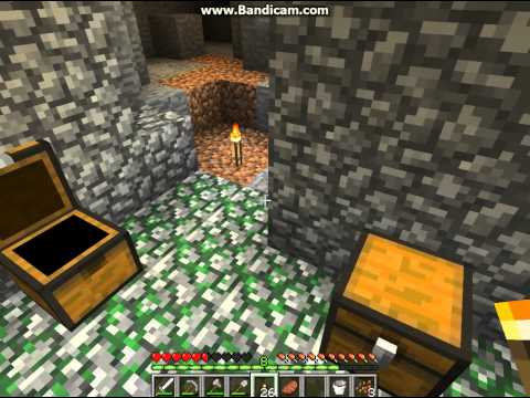 Minecraft 1serie 7 díl výprava a knihy.