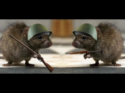 Most OP tree camping spot on Customs (4 PMC Kills)-Escape from Tarkov