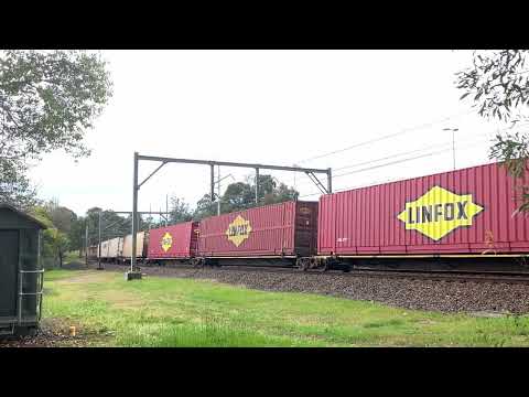 20230908_1253 5MB4 Gonarro