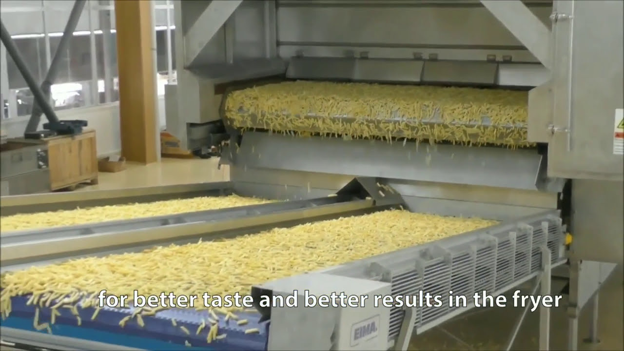 Frozen Fries 1000 kg/h
