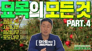 돈을 버는 나무농사 재배의 원리와 방법! (접목과 대목)ㅣ[대림묘목농원_묘목 특강 part.4]