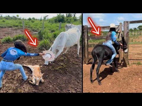 MONTEI NA JUMENTA E ENFRENTEI AS PRIMEIRAS VACAS BRAVAS DO ANO 😱