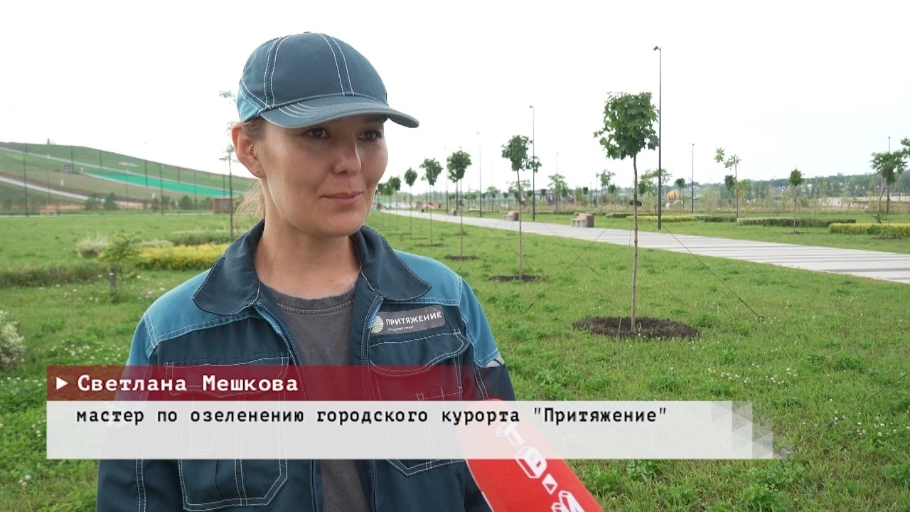 Время местное. Эфир: 29-07-2026 - Кленовая аллея в Притяжении