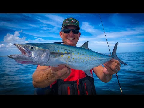 Jumbo Spanish Mackerel {Catch Clean Cook} How to Catch Mackerel