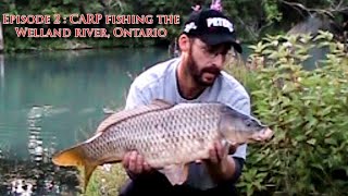 Episode 2 : CARP fishing the Welland river, Ontario