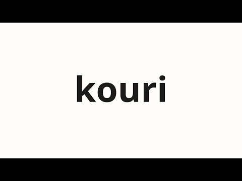 How to pronounce kouri | 行李 (Lee in Japanese)