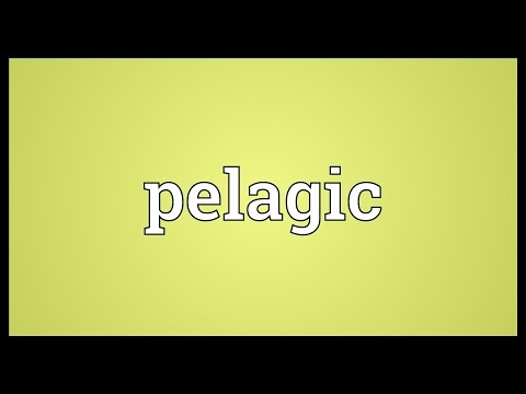Pelagic Meaning