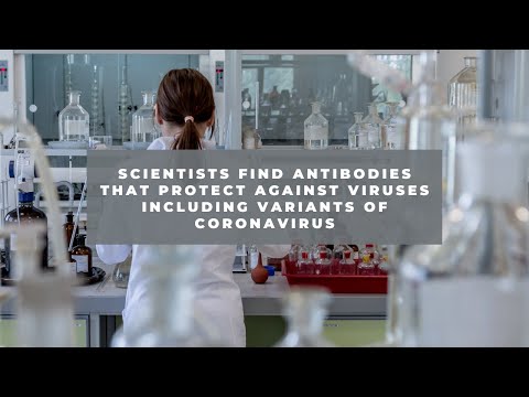 Videos from Cweb News