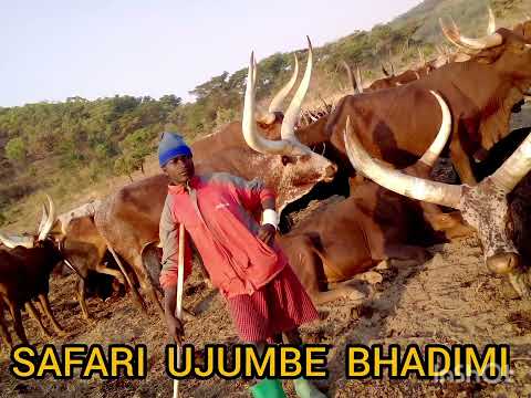 MAYIKU SAI UJUMBE BHADIMI 20=10=2026
