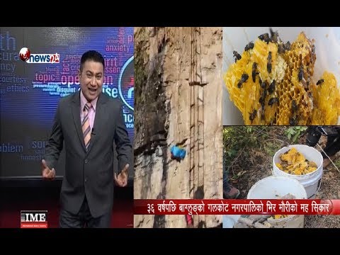 हनी हन्टिङ अर्थात् महको शिकार । मह महोत्सवको खास रहस्य ? - POWER NEWS  With Sangam Baniya.