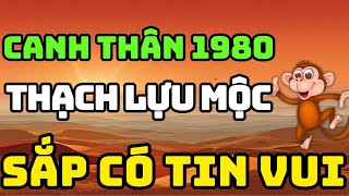 Tuổi Canh Thân 1980 Là Người Có Phúc Có Phần, Về Già Hưởng Lộc Tổ Tiên Nếu Biết Sớm 8 Điều Này