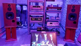 DONALD FAGEN &quot;Mary Shut the Garden Door&quot; VINYL played on TECHNICS 1200 / LEHMANN/ ACCUPHASE /HARBETH