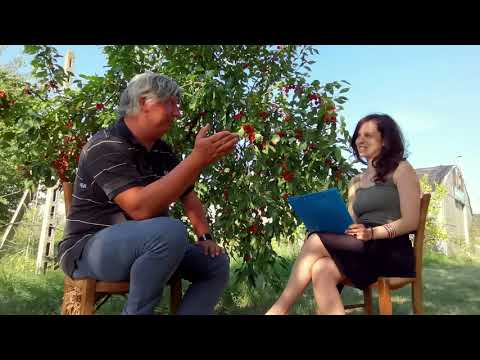 Sfiga Festival 2020 - Intervista ad Alberto Raho