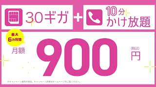 いつでも、どこでも、SIM契約_海篇_iPhoneにおすすめ_30ギガ900円_2026年9月