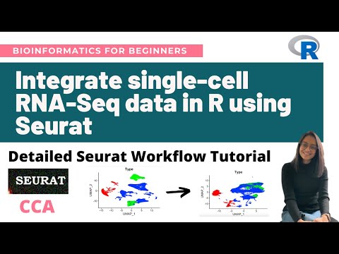 Integrate single-cell RNA-Seq datasets in R using Seurat (CCA) | Detailed Seurat Workflow Tutorial