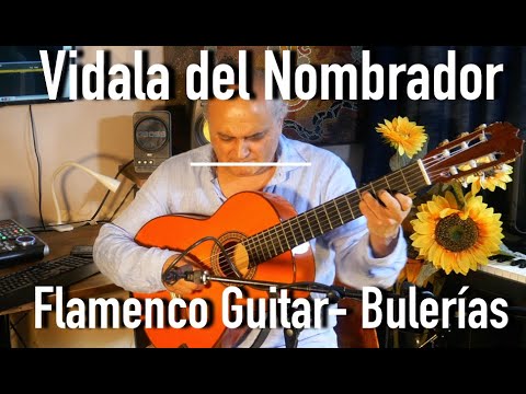 Flamenco Guitar- La Vidala del Nombrador, Thomas Lorenzo, Spanish folk song played por Bulerías.