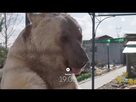 Galileo Vorschau für den 02.08.2021 (ProSieben)