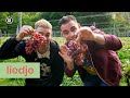 Geef mij nog een druif | Dos Hermanos