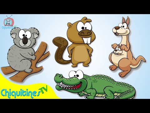 El Sonido de los Animales 4 - Canción Infantil - animales salvajes