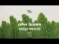সেদিন চৈত্রমাস 2 5 হুমায়ূন আহমেদ Humayun Ahmed 